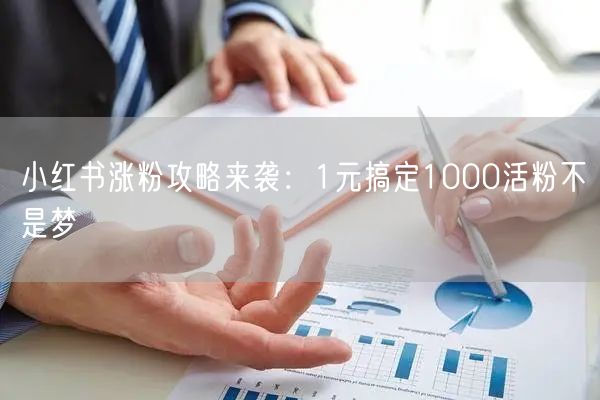 小红书涨粉攻略来袭：1元搞定1000活粉不是梦