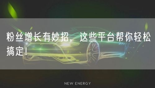 粉丝增长有妙招，这些平台帮你轻松搞定！