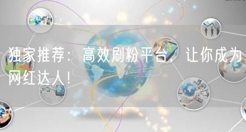 独家推荐：高效刷粉平台，让你成为网红达人！