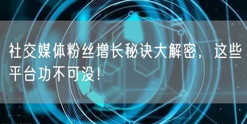 社交媒体粉丝增长秘诀大解密，这些平台功不可没！