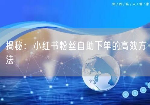 揭秘：小红书粉丝自助下单的高效方法