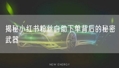 揭秘小红书粉丝自助下单背后的秘密武器