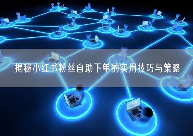 揭秘小红书粉丝自助下单的实用技巧与策略