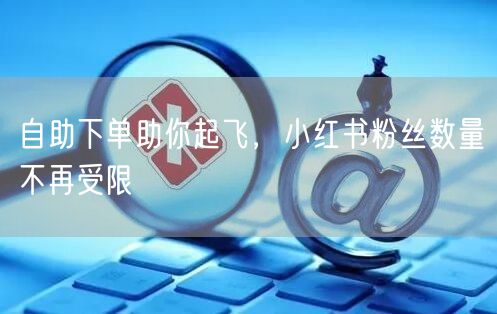 自助下单助你起飞，小红书粉丝数量不再受限