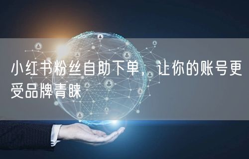 小红书粉丝自助下单，让你的账号更受品牌青睐