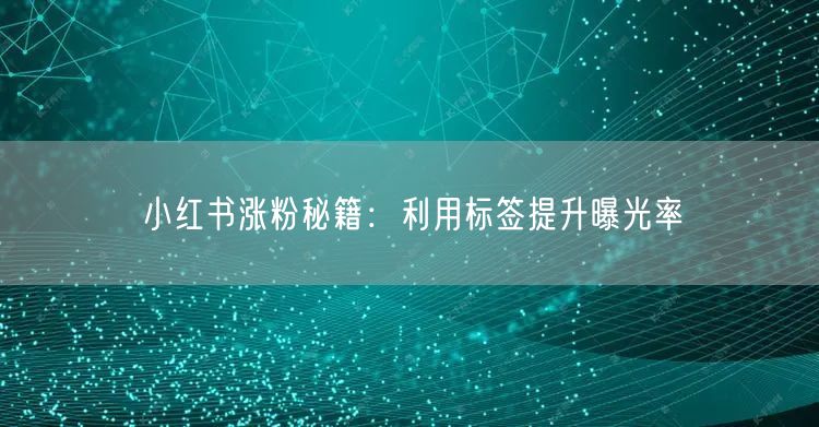 小红书涨粉秘籍：利用标签提升曝光率